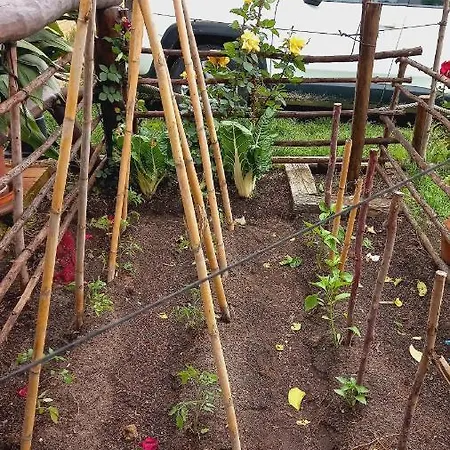 Jardines Del Acebron * إل روثيو